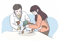 宠物医疗险,哪些值得选?这几款产品能帮你省钱
