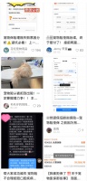 手把手带你走完宠物医保使用全流程,看完后报销再也不用愁!|消保委亲测