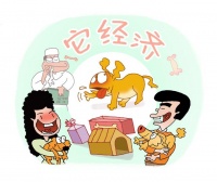 宠物医疗潜藏法律风险，听听法官怎么说