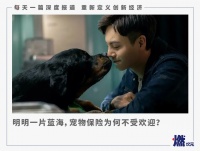 “带不动”的宠物保险