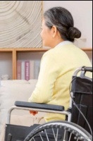 支付宝宠物保险记得买！投保攻略大全
