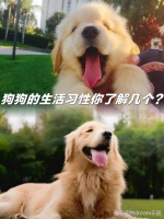 宠物保险有必要吗？ 是否...@雨后彩虹的微笑的动态