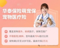 宠物医疗险 | 华泰宠物医疗险，保障最高2万元，保费低至100元