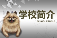 宠物美容培训学校