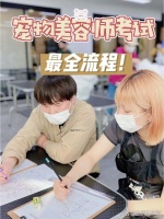 宠物美容师考试，蕞全流程
