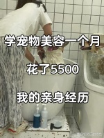 八年宠物美容师，月薪3万的小幸福