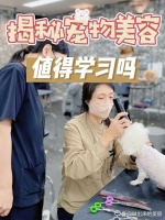 揭秘：宠物美容，到底值不值得学？