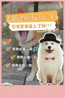 养狗必囤物品大全