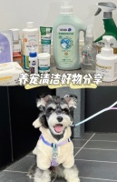 养狗的家庭需要准备哪些清洁用品？