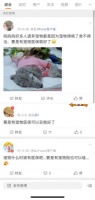 “毛孩子摔骨折,我两个月工资没了”,宠物医疗险要安排上吗?