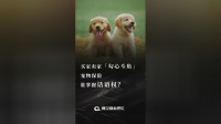 买家卖家「勾心斗角」，宠物保险谁掌握话语权？