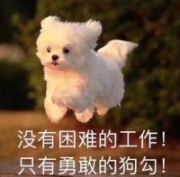 狗子越打越退步！正确训练狗狗，应做到这5点！
