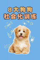 8大狗狗社会化训练