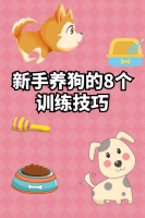 新手养狗的8个训练技巧