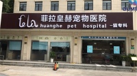 上海宠物医院