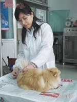 宠物医院(为宠物提供医疗服务的场所)