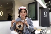 90后女孩当起宠物摄影师:每次拍摄前都要花几个小时磨合