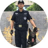 西安宠物训练