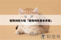 宠物训练介绍「宠物训练基本步骤」