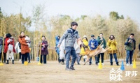 5000元一个月的“狗狗培训班”，是噱头还是专业？