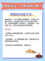 如何养出一只听话的小狗？