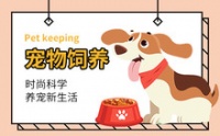 宠物保健品产品排行榜