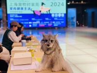 上海“宠爱嘉年华”3月下旬举行,宠物也有自己的时尚style