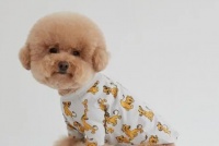 宠物服装 英文