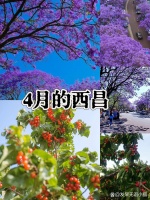 养狗人选粮8️⃣大秘诀㊙️