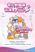 猫咪疫苗知识科普:妙三多和狂犬疫苗能一起打吗?