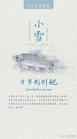 宠物疫苗|疫苗怎么选才正确又省钱‼️