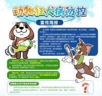 东莞市犬猫狂犬病免疫注射点汇总表