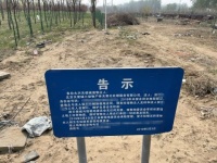 北京大兴“人气”宠物墓园如今一片荒芜，专家建议宠物死后做无害化处理