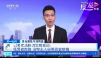 选择宠物墓地的超详细攻略