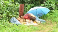 昆明：小区内惊现宠物“坟墓”引发热议