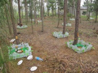 兽医专业美女大学生卖陪嫁房建武汉首家宠物公墓，盼纳入监管