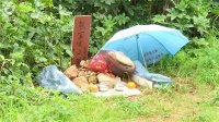 小区内出现宠物“坟墓”引发热议：萌宠死后该如何处理？