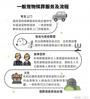 数说宠物殡葬：如何与爱宠体面地说再见？