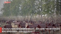 北京的这个宠物墓园一片荒芜，经营方还联系不上……