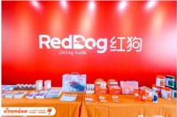 两会都在热议的宠物话题，你可不要成为悲伤的宠物主