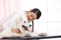 开一家宠物店需要投入的费用