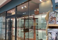 开宠物店的经验总结