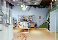 长沙宠物市场：加盟创业的新选择，专业服务的新高度！