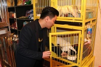 长沙宠物市场：创业加盟的下一个风口，你准备好了吗？