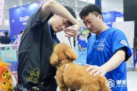 2024潮流宠物展最新展会排期发布（含广州宠物展及武汉宠物展）