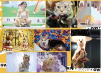 2024世界宠物博览会(十城巡展