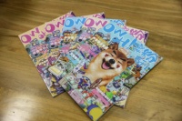 省钱新风潮来袭 为什么养宠的人都在抢它？