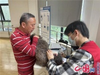 苏州工业园区白塘社区：关爱“汪星人” 为宠物健康护航