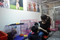 新手怎么开宠物店，这三点很重要！