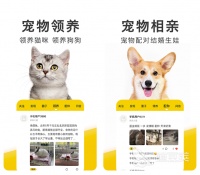 什么软件可以买宠物 宠物买卖app大合集分享